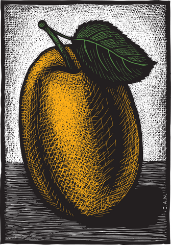 Why Democracy Matters